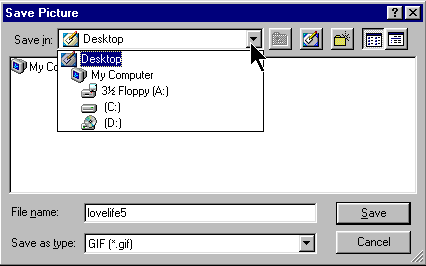 Picture of the Save picture window